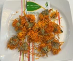 Calendula Flowers