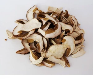 Dried Boletus Mushroom Porcini Mushroom Best Price and Quality