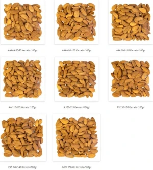 Mamra Almonds