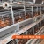 Import Layer Poultry Farming Equipment H Type Automatic System Battery Layer Chicken Cage from China