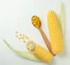 High-Quality Yellow Maize – Nutritious, Versatile, and Reliable