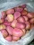 Import Kola nut from Nigeria