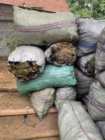 charcoal wood