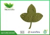 Ginkgo Leaf powder ,Herbal straight powder