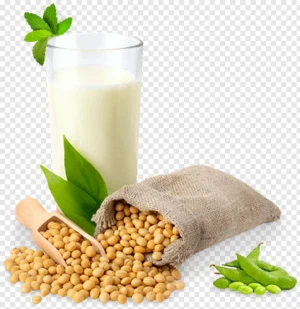 soybean powder, soybean milk powder, soya milk powder