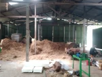 COCO PEAT