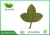 Import Ginkgo Leaf powder ,Herbal straight powder from China