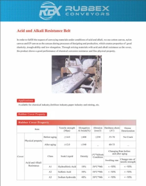 Acid and Alkali Resistance Belt