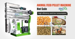 1-48T/H Chicken Pellet Making Device For Animal