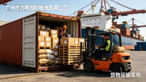 Large scale logistics transportation from China to Colombia