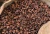Import Cocoa Beans, Natural Fermented And Dried Cacao Cocoa Beans From Ivory Coast from Democratic Republic of the Congo