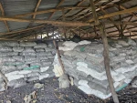 Premium Charcoal for Sale