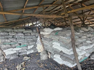 Premium Charcoal for Sale
