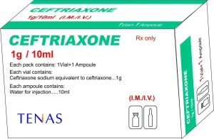 Ceftriaxone Sodium for Injection 1g+10ml Sterilized Water for Injection
