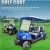 Import Wedding Cheap Powered Approved Zone 4 Seats Low Price Leather Electric Club Golf Carts For Sale from Hong Kong