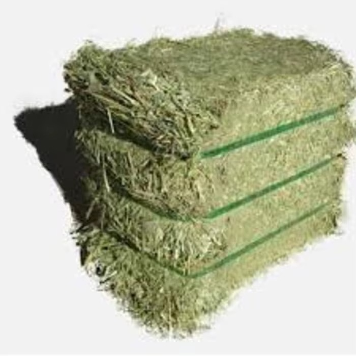 Green And Rodes Buy High Protein Rhodes Grass For Bulk Feeding With Fresh Aroma And ...