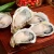 Import New season frozen oyster meat from China
