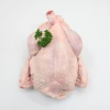 Bulk Sale Whole Frozen Chicken Fresh And Safe For Distribution Wholesale Whole Frozen Chicken With Best Handling