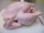 Import Wholesale Brazilian Halal Frozen Chicken for Export from USA