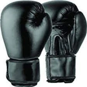 RMY Boxing Gloves