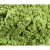 Import 100% Pure Natural Healthy Food Organic Green Barley Grass Powder from China