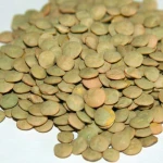 100% Sortext Green Eston Lentils