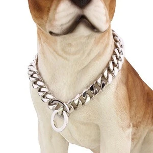 10mm 316L Spring Stainless steel fancy dog collar hardwre metal dog collar pet collar
