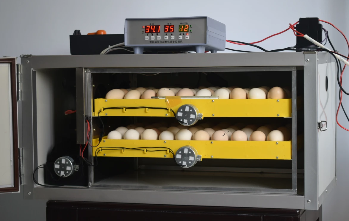 120 eggs dual power 12V DC automatic egg incubator