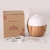 Import 160ml ultrasonic air humidifier with 7 color led light from China