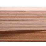 18mm UV Birch Wood Plywood Laser Cut Plywood Paper Faced Plywood