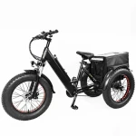 20-Inch 26inch Fat Tire 7-Speed Multipurpose Electric Pedicab 3 Wheel Cargo Bike for City Use for Cargo and Pet Transportation