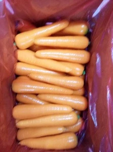 2017 fresh carrots from China
