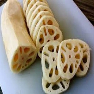 2018 season IQF or frozen fresh mixed vegetables lotus root