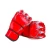 Import 2019 Customized Logo Training PU/PE Foam Printed 10 Oz Twins Boxing Gloves Oem from China