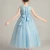 Import 2020 New Design Kids Clothing Daily Tutu Dress with Flower Birthday Party Dress Wholesale Kids Girl Pink White Blue Casual Gift from China