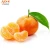 Import 2020 New Year Sale/ Mandarin oranges/fresh mandarin orange/Citrus fruit latest price from Pakistan