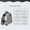 220V Electric Laundry Appliances Vertical Steam Iron standing iron steamer industrial Clothes Garment Steamer