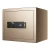Import 25cm High Fingerprint Security Fire Proof Anti-thelf Money Depository Safe from China