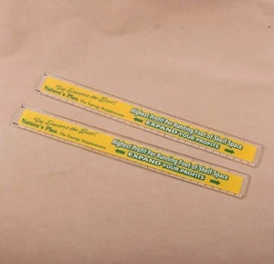 30CM 12 inch plastic ruler with logo printing