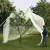 Import 40-50 mesh Clear hdpe plastic insect fruit tree proof mesh netting from China