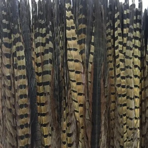 45-50cm factory wholesale natural Ringneck Pheasant Tail Feather