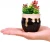 Import 6 Pcs 2.5 Inches Mini Ceramic Succulent Plant Pots with Bamboo Trays Flower Pots for Small Plants and Decorative from China