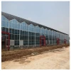 Agriculture Polycarbonate Roofing Sheet Greenhouse With Hydroponic nft Grow System