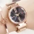 Import Amazon Hot Sale Fashion Luxury Star Sky Dial Women Watches Magnetic alloy Steel Mesh Lady Wristwatches from China