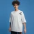 Import Apparel stock design custom print fabric plain cotton unisex tee shirt from China