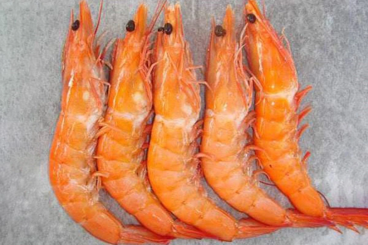Argentina Red Shrimp Export to Japan, Korea, Vietnam, Italy