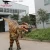 Import Attractive Walking Dinosaur Mascot For Central Park from China