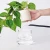 Import Auto Irrigate Flower Pot/Self-absorbing flower pot/Automatic watering pot from China