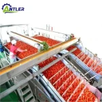 Automatic Tomato Sauce Filling Machine Tomato Honey Jam Production Line