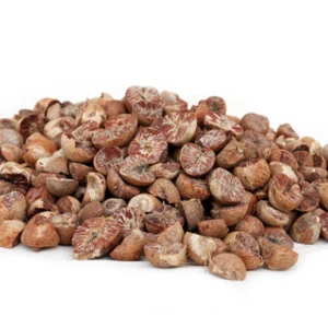Available stock Betel Nuts Thailand / BETEL NUT - ARECA NUTS / Quality whole and Split Betel Nut
